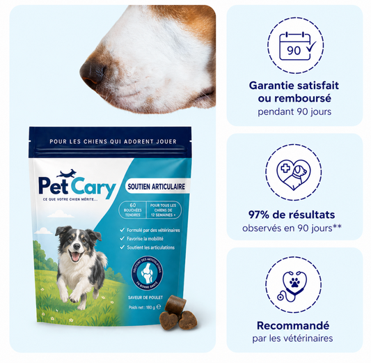 PetCary™ Complément Pour Soutien Articulaire